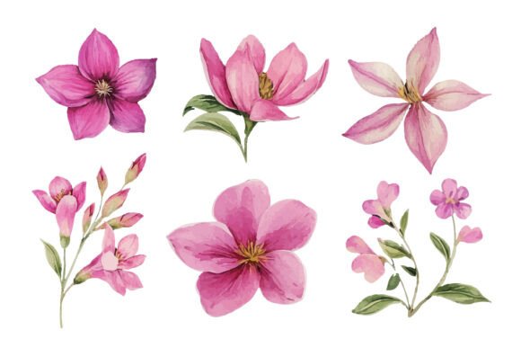 Download Pink Watercolor Flower Clipart Set - Watercolor Collection