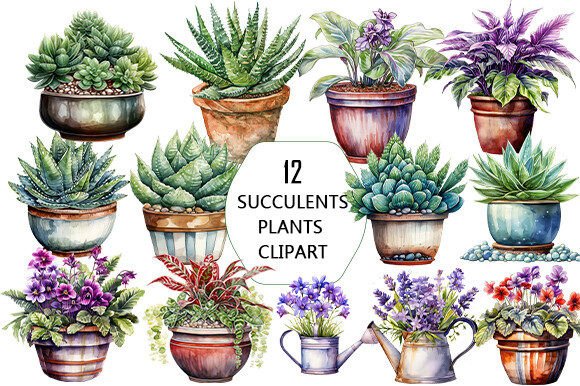 Download SUCCULENTS WATERCOLOR PLANTS SUBLIMAION - Watercolor Collection