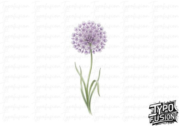 Download Allium Bloom Watercolor PNG - Watercolor Collection