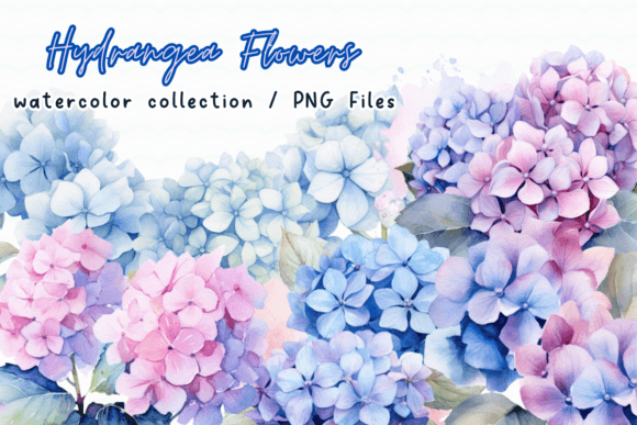 Download Hydrangea Flowers Watercolor Clipart - Watercolor Collection