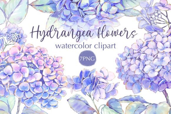 Download Hydrangea Flowers Watercolor Clipart - Watercolor Collection