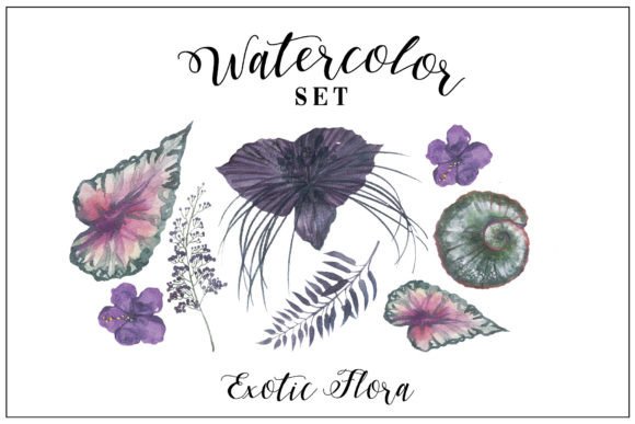 Download Midnight Flowers - Watercolor Floral Set - Watercolor Collection