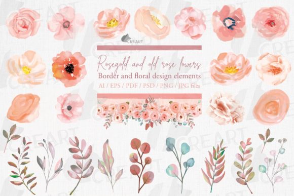 Download Watercolor Old Rose Floral Decor Element - Watercolor Collection