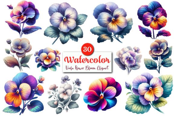 Download Viola Flower Bloom PNG Clipart Bundle. - Premium Resources
