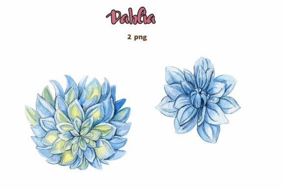 Download Dahlia, Watercolor Flower Set. - Watercolor Collection