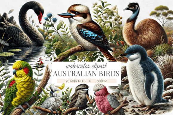 Download Australian Birds Watercolor Bundle - Watercolor Collection