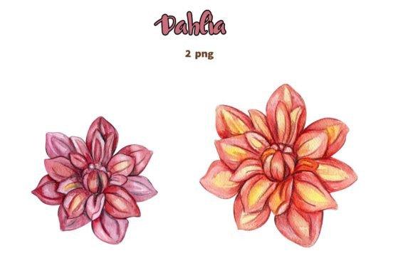 Download Dahlia, Watercolor Flower Set. - Watercolor Collection