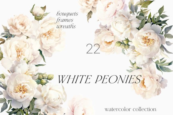 Download White Peony Watercolor Floral Set - Watercolor Collection