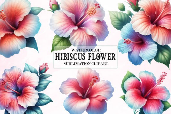 Download Watercolor Hibiscus Flower Clipart - Watercolor Collection