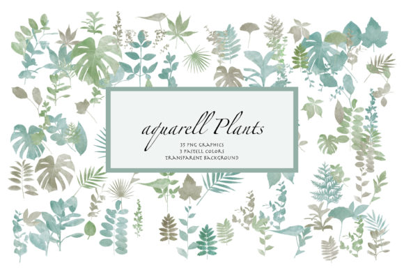 Download Watercolor Plants, Transparent - Watercolor Collection