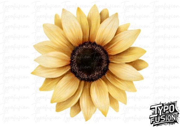 Download Watercolor Sunflower Bloom PNG - Watercolor Collection