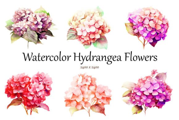 Download Watercolor Hydrangea Flowers Clipart - Watercolor Collection