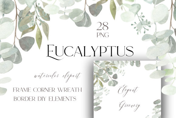 Download Eucalyptus Watercolor Bundle Png - Watercolor Collection