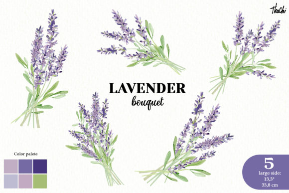 Download Watercolor Lavender Clipart Violet Png - Watercolor Collection