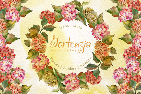 Download Gortenzia Watercolor Flower Set - Watercolor Collection