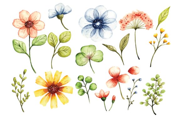 Download Floral Design Elements in Watercolor - Watercolor Collection