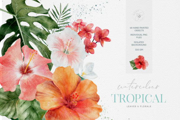 Download Tropical Flowers Leaves Watercolor - Watercolor Collection
