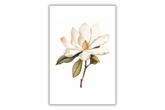 Download Watercolor Magnolia Flower- Art Print - Watercolor Collection